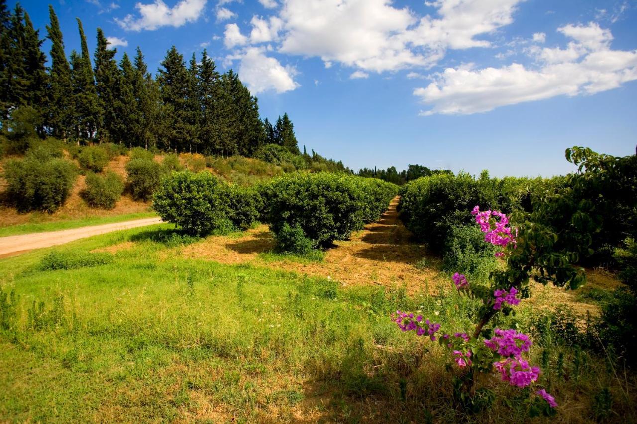 تارانتو Borgo Valle Rita المظهر الخارجي الصورة